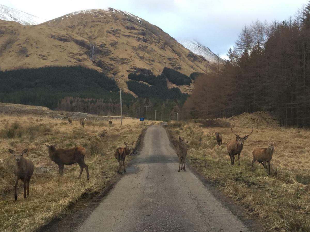 Park View Bed & Breakfast Ballachulish Luaran gambar